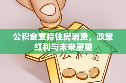 汤旺河公积金支持住房消费，政策红利与未来展望