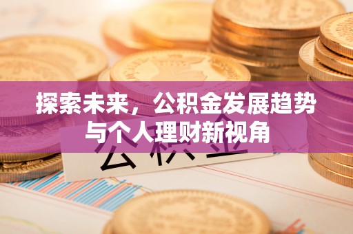 汤旺河探索未来，公积金发展趋势与个人理财新视角