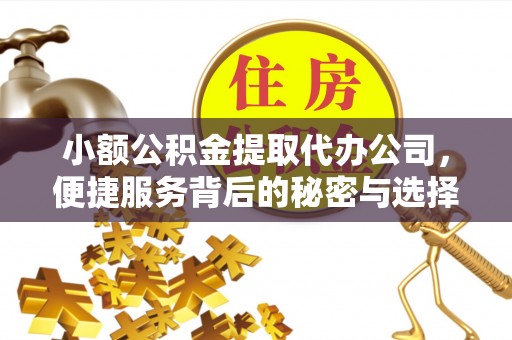 汤旺河小额公积金提取代办公司，便捷服务背后的秘密与选择指南