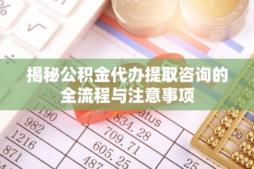 汤旺河揭秘公积金代办提取咨询的全流程与注意事项