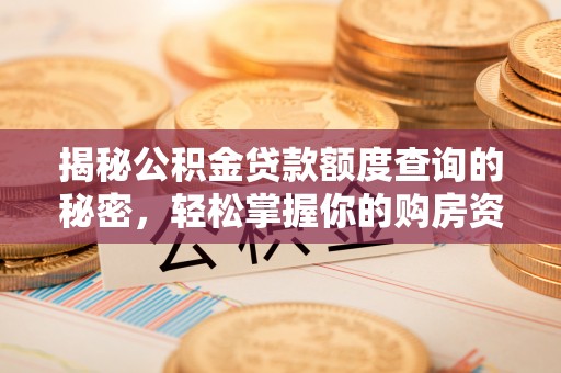 汤旺河揭秘公积金贷款额度查询的秘密，轻松掌握你的购房资金