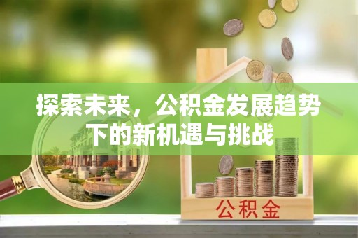 汤旺河探索未来，公积金发展趋势下的新机遇与挑战