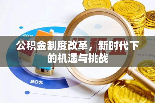 汤旺河公积金制度改革，新时代下的机遇与挑战