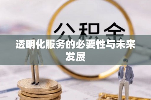 汤旺河透明化服务的必要性与未来发展