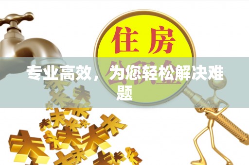 汤旺河专业高效，为您轻松解决难题