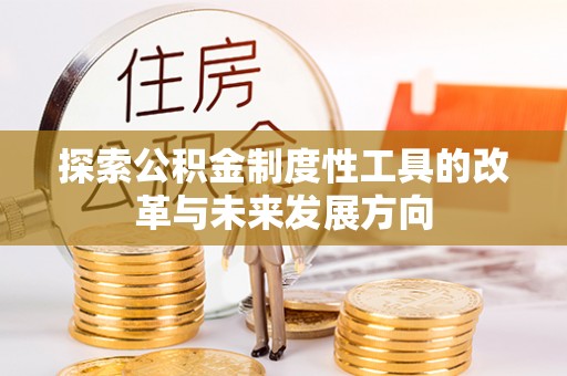汤旺河探索公积金制度性工具的改革与未来发展方向