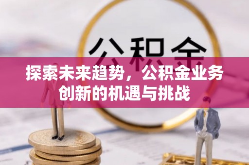 汤旺河探索未来趋势，公积金业务创新的机遇与挑战