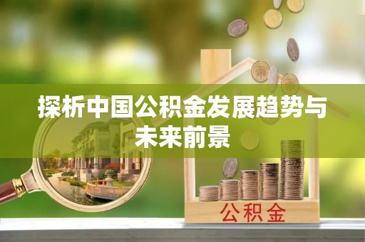汤旺河探析中国公积金发展趋势与未来前景