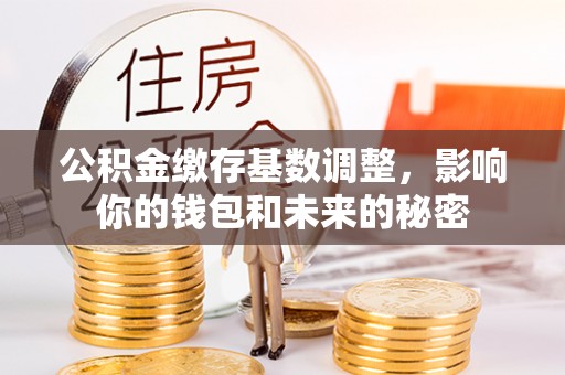 汤旺河公积金缴存基数调整，影响你的钱包和未来的秘密
