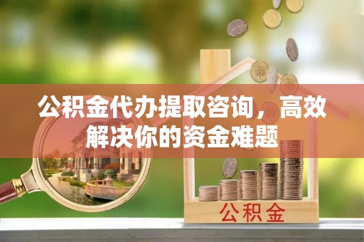 汤旺河公积金代办提取咨询，高效解决你的资金难题