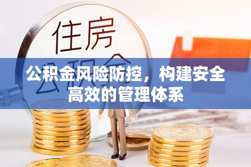 汤旺河公积金风险防控，构建安全高效的管理体系