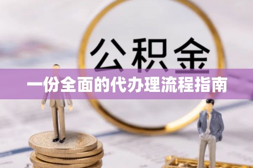 汤旺河一份全面的代办理流程指南