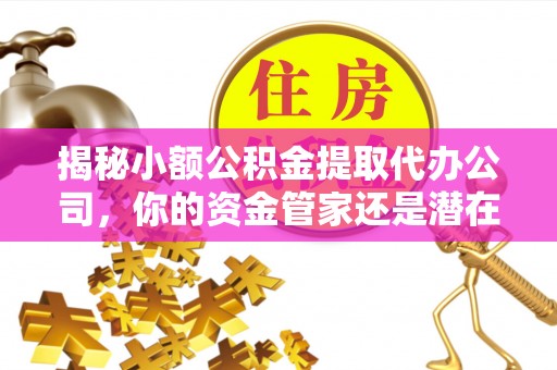 汤旺河揭秘小额公积金提取代办公司，你的资金管家还是潜在陷阱？