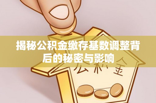 汤旺河揭秘公积金缴存基数调整背后的秘密与影响