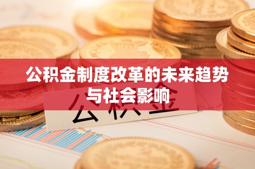 汤旺河公积金制度改革的未来趋势与社会影响