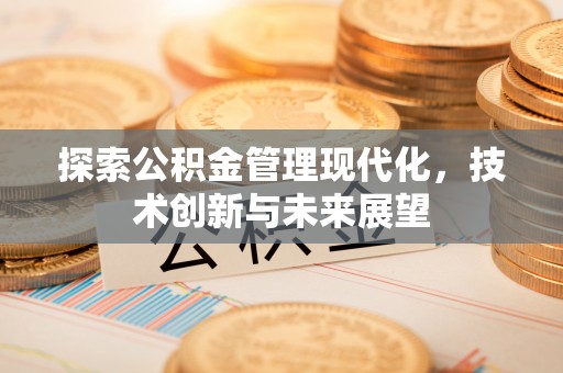 汤旺河探索公积金管理现代化，技术创新与未来展望