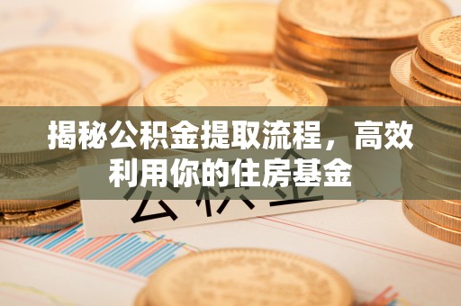 汤旺河揭秘公积金提取流程，高效利用你的住房基金