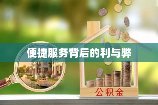 汤旺河便捷服务背后的利与弊