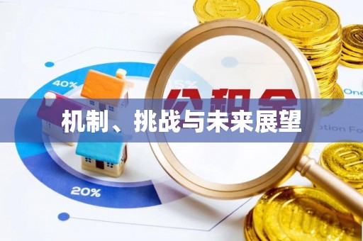 汤旺河机制、挑战与未来展望
