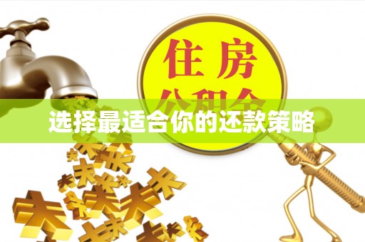 汤旺河选择最适合你的还款策略