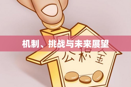 汤旺河机制、挑战与未来展望