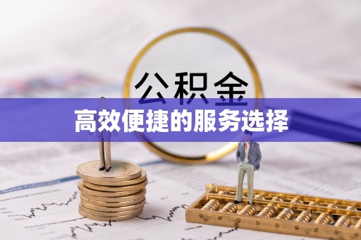 汤旺河高效便捷的服务选择