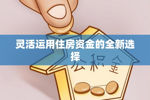 汤旺河灵活运用住房资金的全新选择